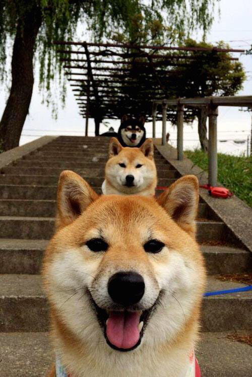 开云APP-楚阿梅尼的后置火炮,与勒沃库森的威尔士打法