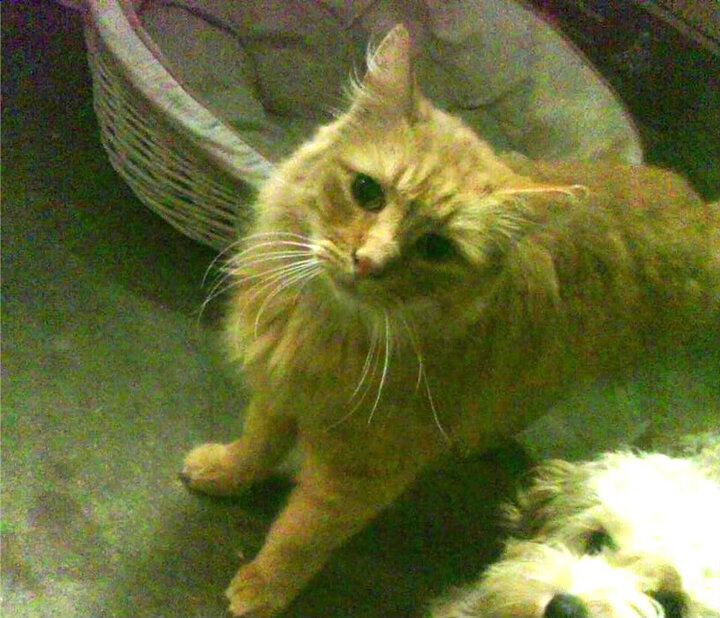 时空裂缝中的绞杀阵—记那场跨次元的季后赛抢七焦点战