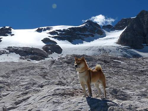 奥运周期关键战,伊朗强势压制加拿大,焦点战重塑资格格局