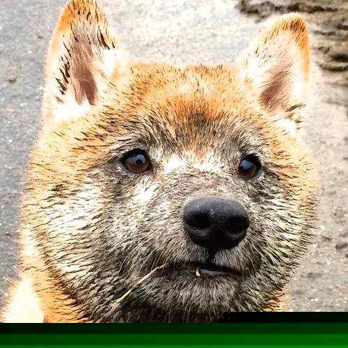 开云体育在线-黄喜灿缠绕式存在绊倒对手，哥伦比亚客场险胜亚特兰大