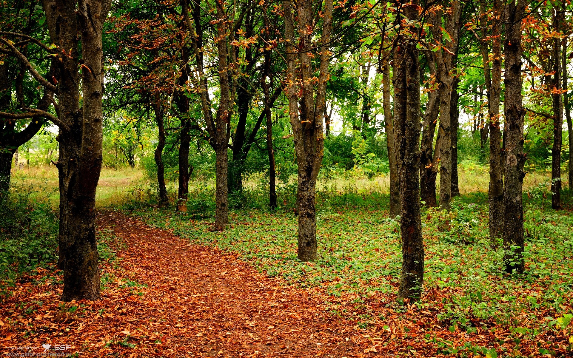 马克西持续杀伤内线,骑士主场强势擒获国王