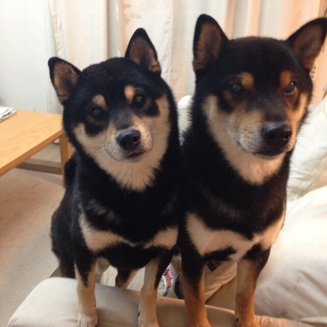 开云体育app-引擎轰鸣与篮球风暴，当速度成为唯一的通行证