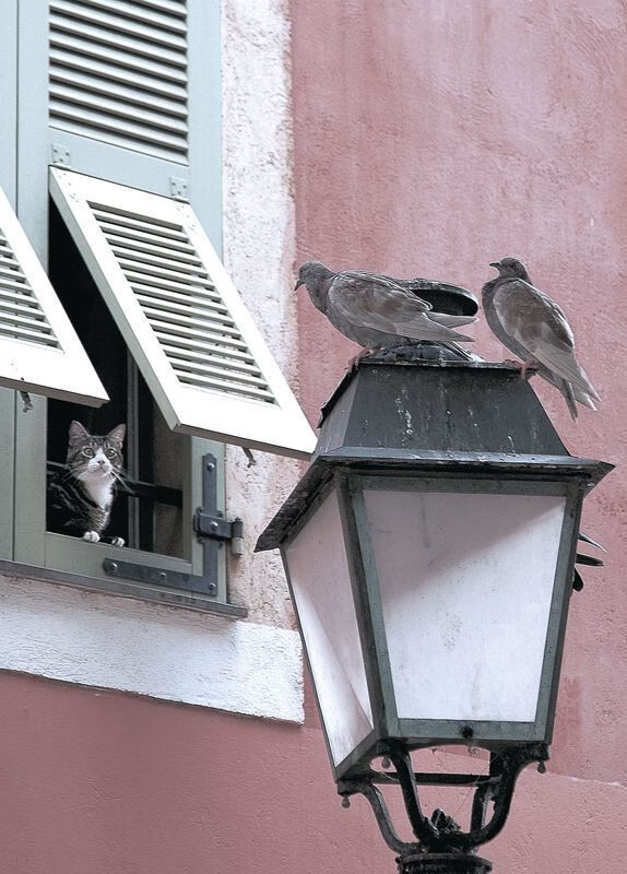 开云体育登录-关键先生凯塞多,切尔西压哨战胜丹麦的幕后英雄