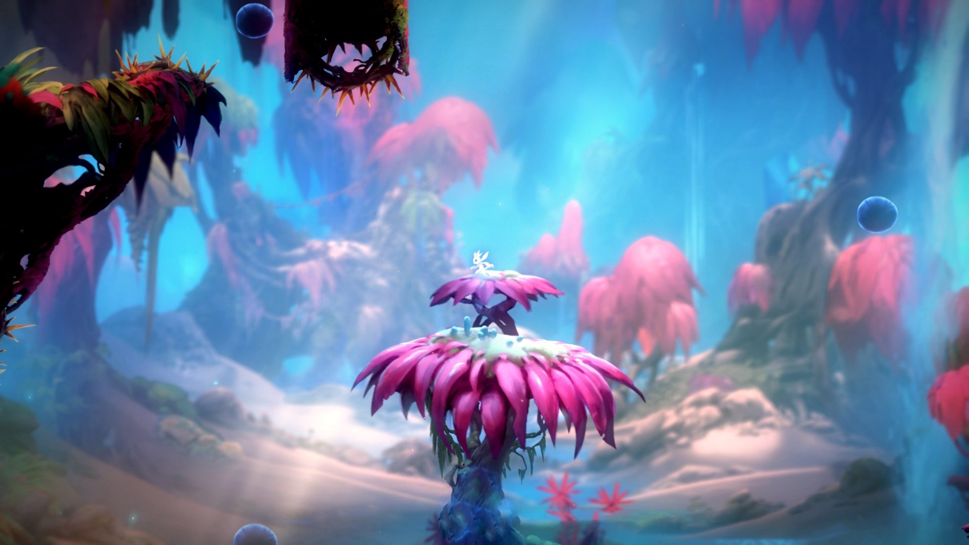 棋盘内外的将军,当足球友谊赛遇见篮球生死战