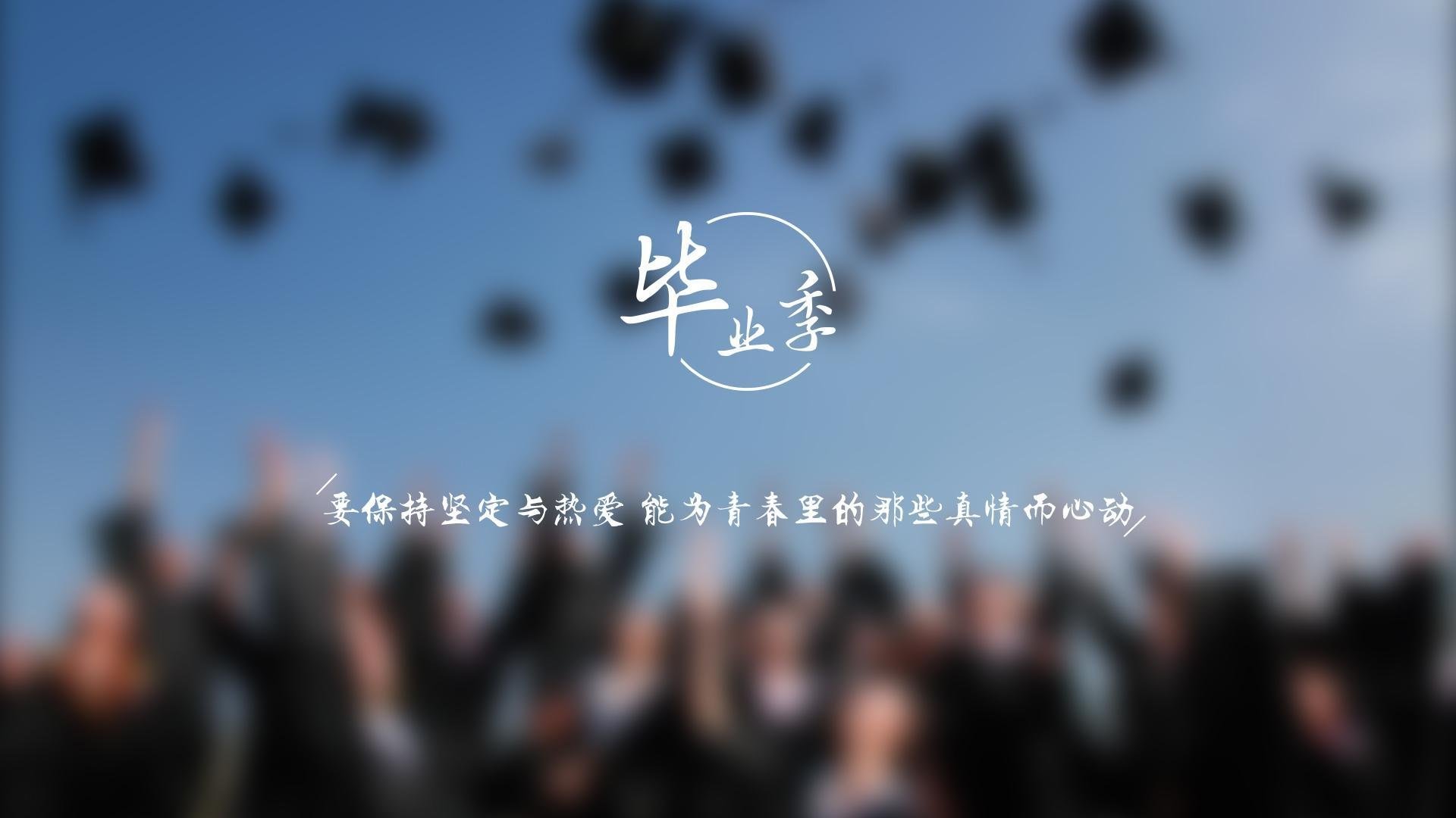 开云体育app-攻防转换的艺术，利物浦如何用加克波上演F1式的年度争冠逆袭