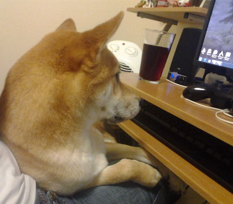 开云体育中国-铁幕之后，淬火重生，奥利维耶一锤定音助西班牙淘汰澳大利亚