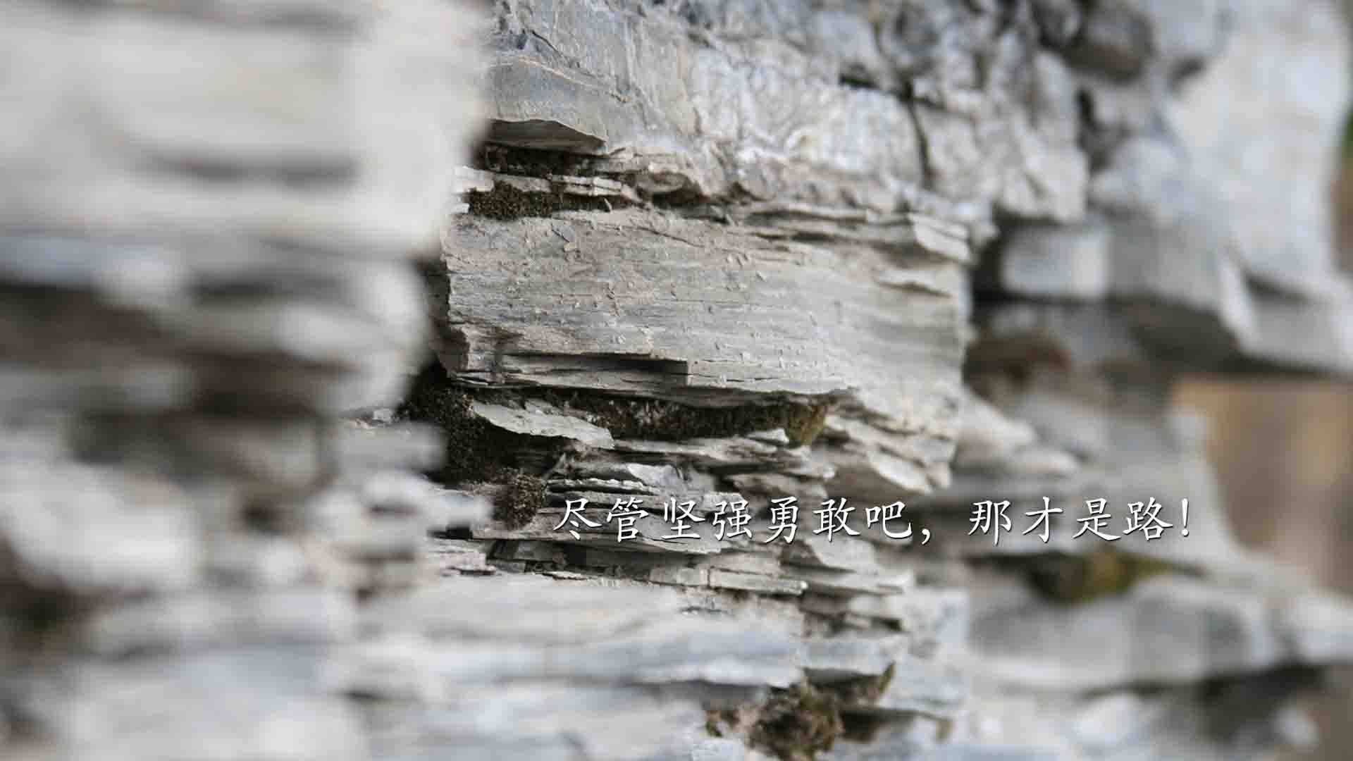 开云体育APP下载-绿茵场上的先知,无名托尼如何在美加墨世界杯接管比赛,并让沙特震惊世界