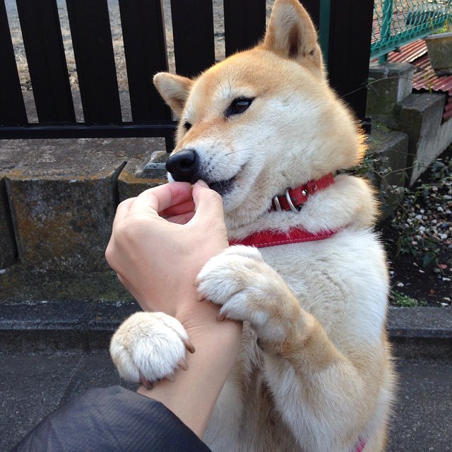 开云体育APP下载-双面逆袭，从雷克雅未克到伯纳乌，非主角的史诗接管