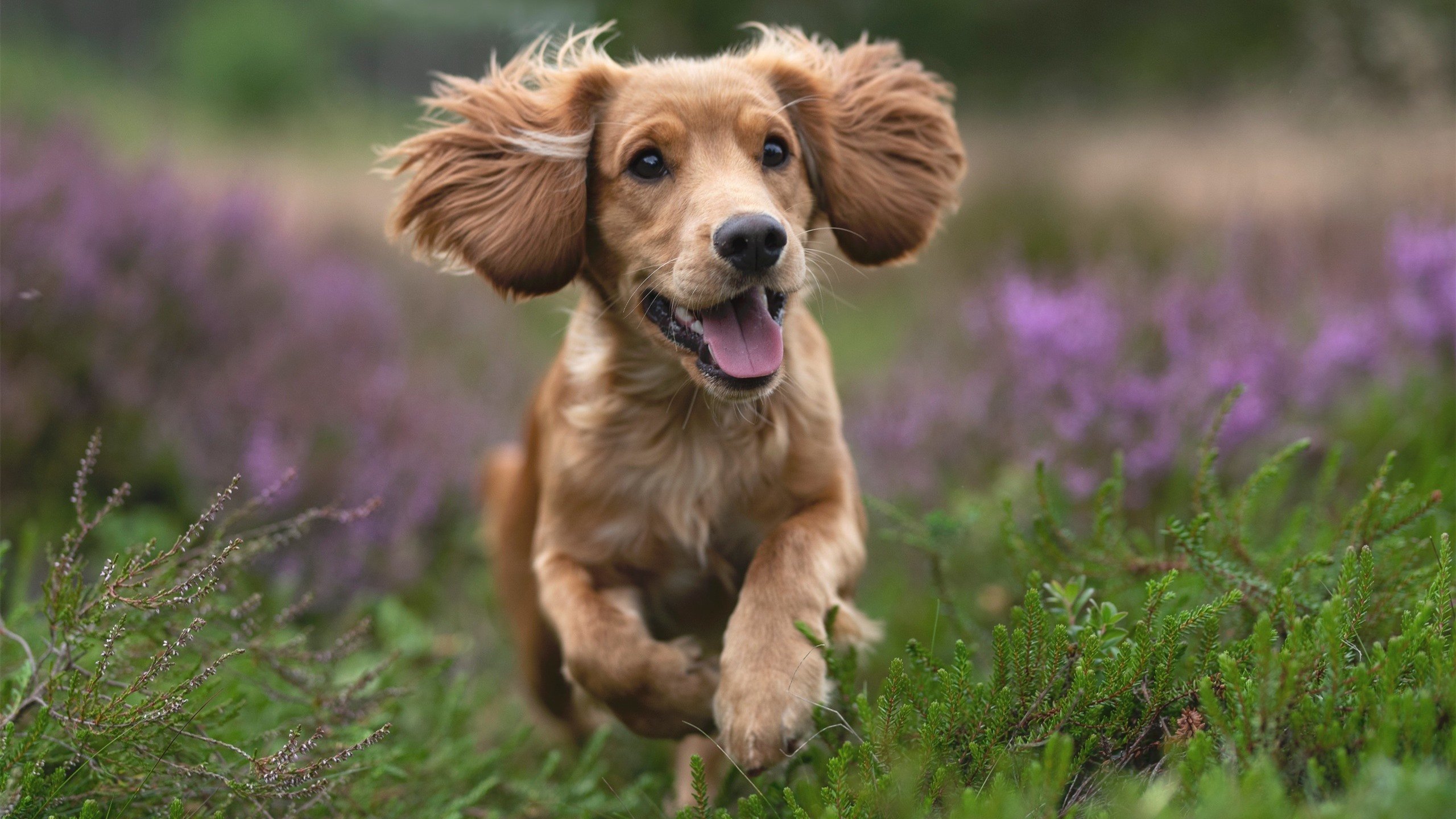 开云体育APP下载-蜡翅成钢,抢七之夜,贝恩如何以个人能力重写命运