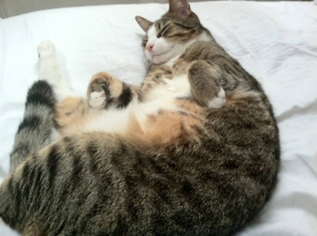 新王加冕，旧神叹息，哈利伯顿用实力引领76人强势晋级，勇士王朝迎来黄昏