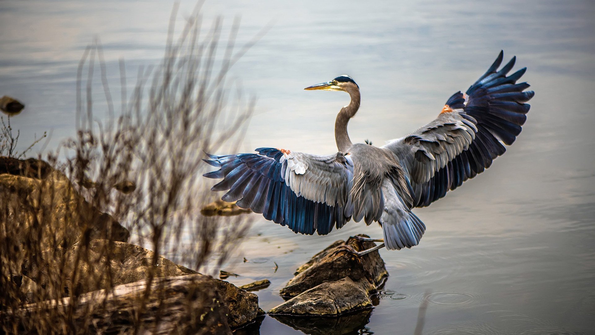 雷霆裂空!马克西攻防窒息表演 快船夕阳战舰沉没洛城