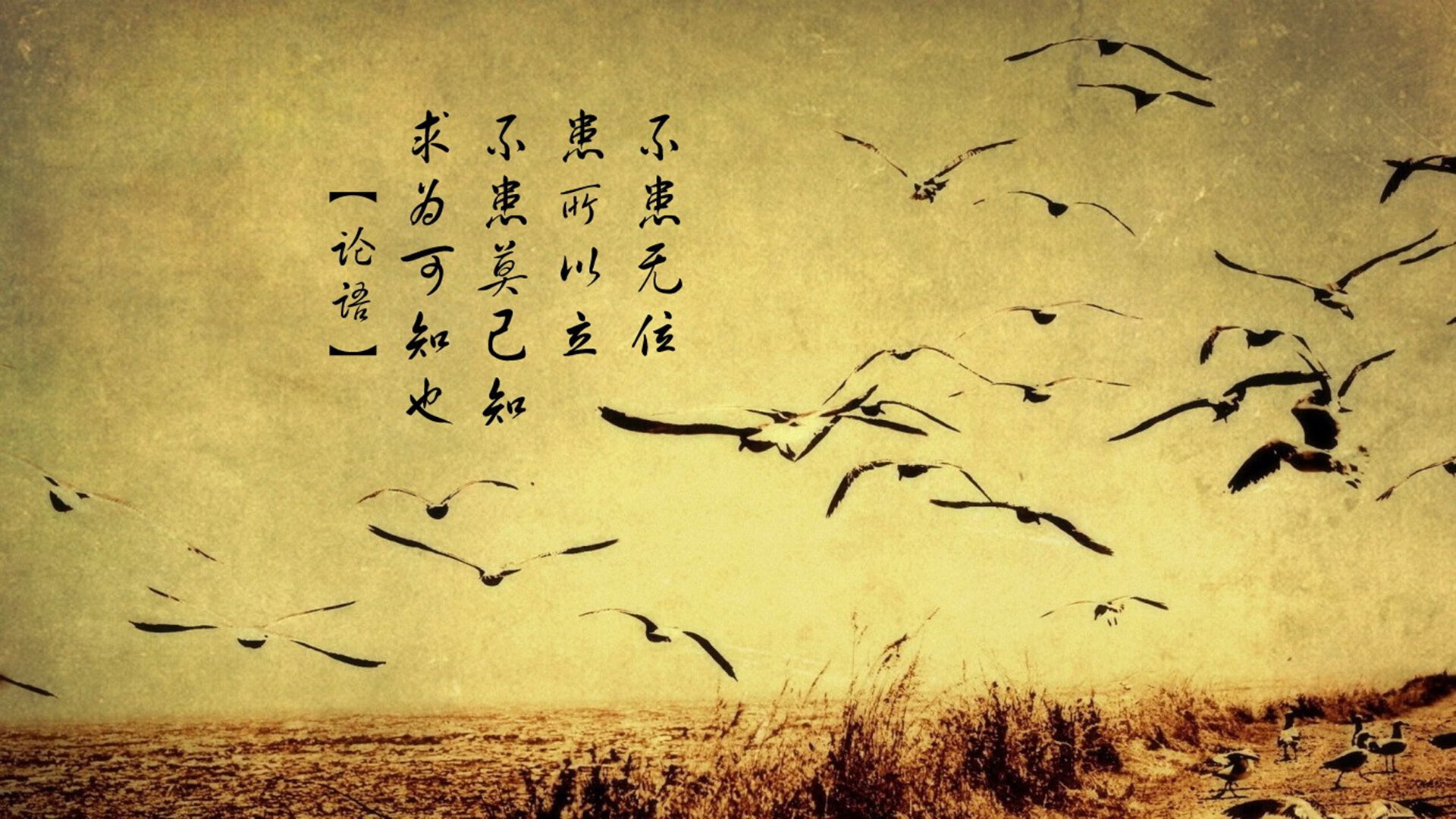 开云体育入口-北非之王的加冕礼，当归化之心本泽马，用铁蹄踏碎突尼斯的不败神话
