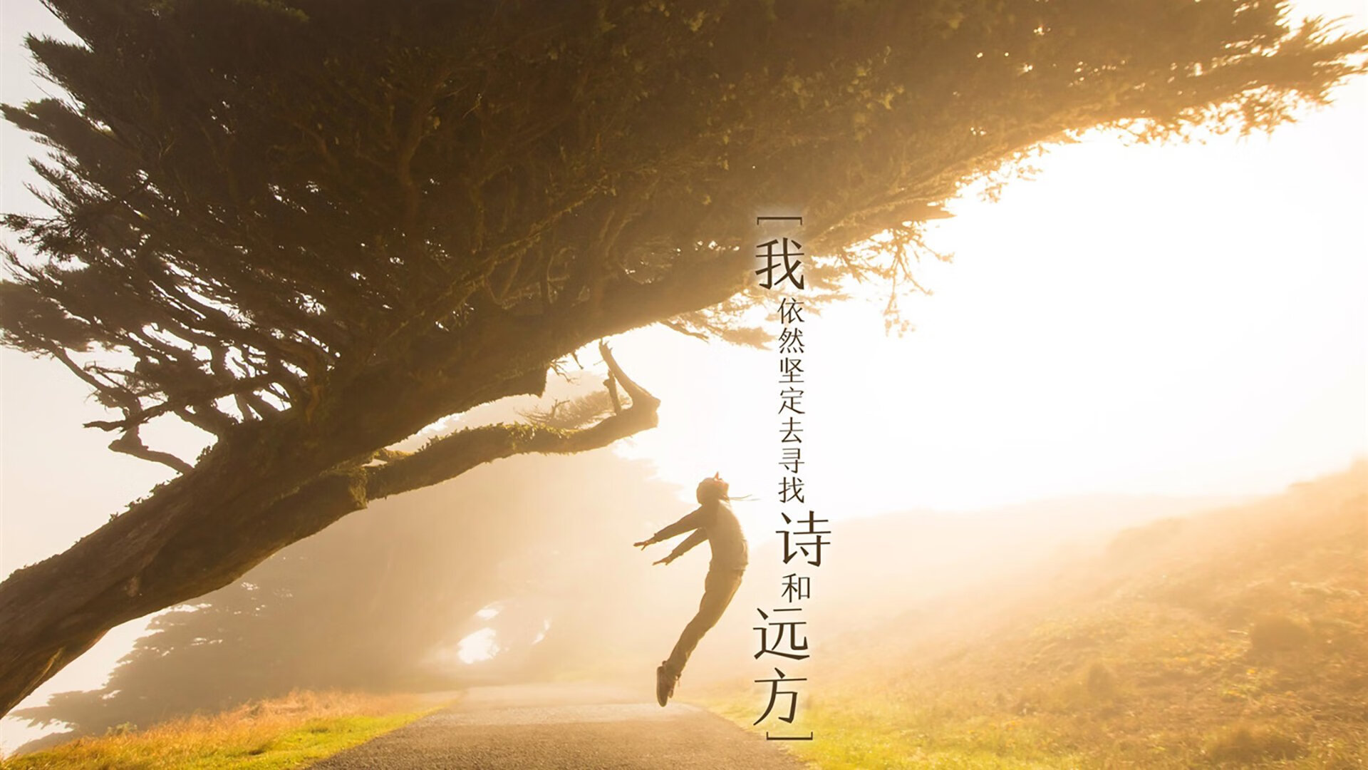开云APP-沙漠风暴中的北欧极光，2026世界杯B组，丹麦童话以足球之名横扫阿联酋，阿方索·戴维斯独舞成王
