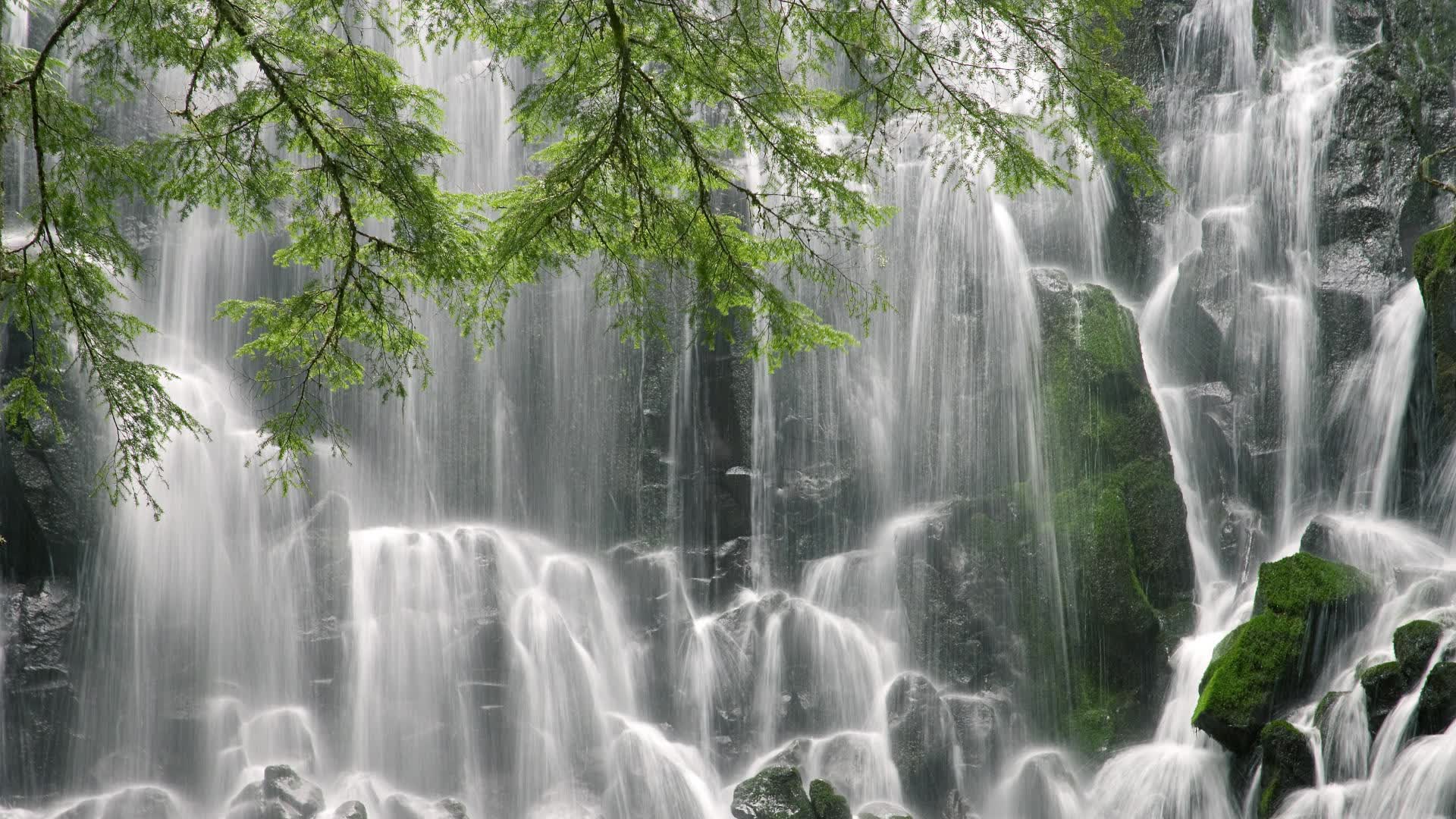 开云下载-(三个备选,由你选择或融合)