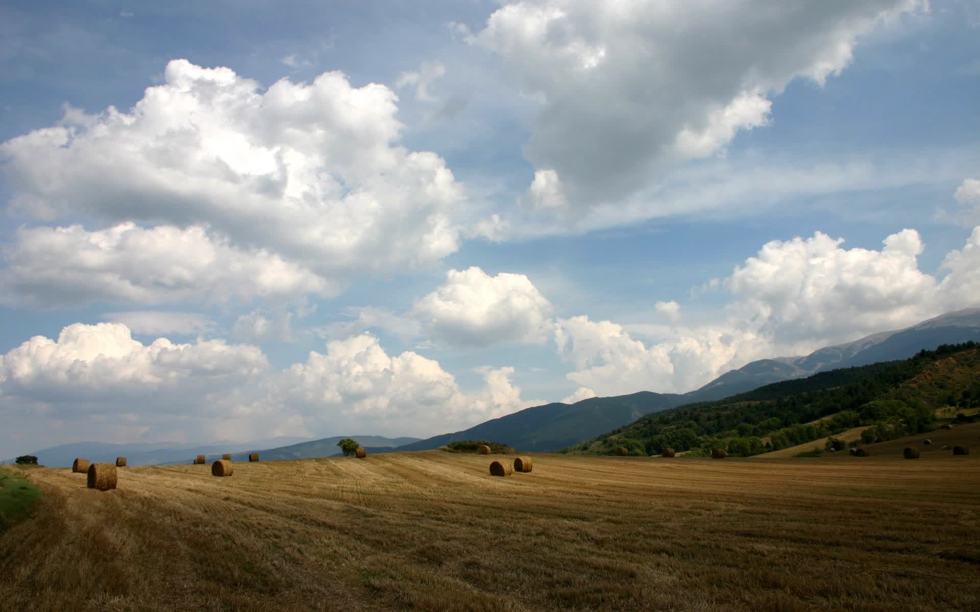 开云-这是一篇为您定制的深度文章,围绕唯一性与关键词展开,力求在赛果之外挖掘出这场比赛的独特叙事与历史定位